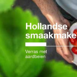 Aardbeien op Deli XL