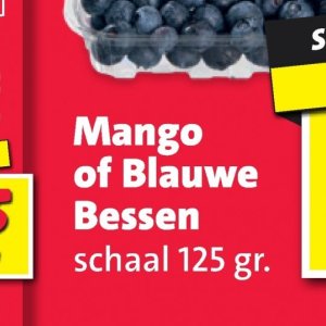 Blauwe bessen op Nettorama