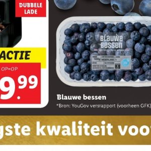 Blauwe bessen op Lidl