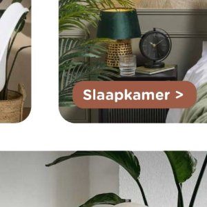 Slaapkamer op Xenos