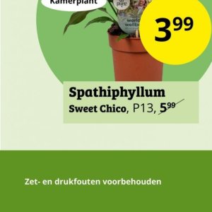 Kamerplanten op Tuinland