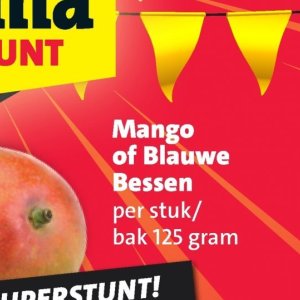 Mango op Nettorama