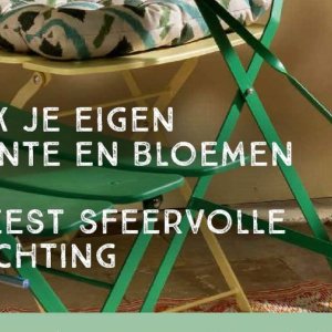 Bloemen op Xenos