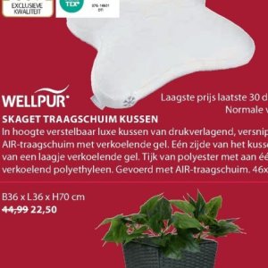 Kussen op Jysk