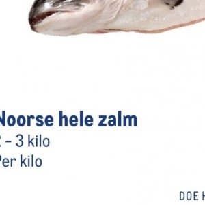 Zalm op Makro