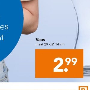 Vaas op Blokker