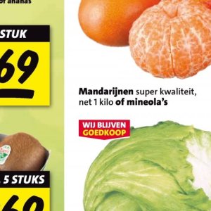 Mandarijnen op Nettorama
