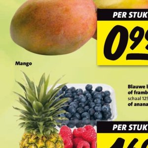 Mango op Nettorama