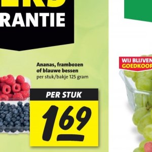 Frambozen op Nettorama