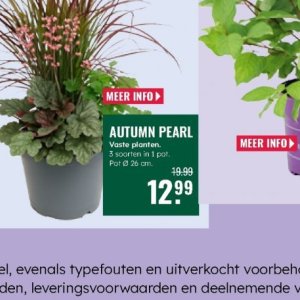 Planten op GroenRijk