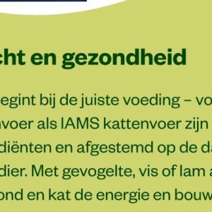Kattenvoer op Welkoop