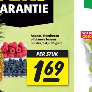 Blauwe bessen op Nettorama