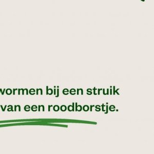 Struik op Welkoop