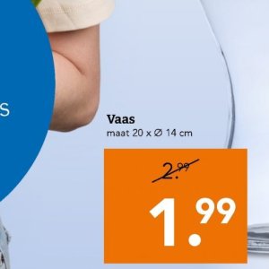 Vaas op Blokker