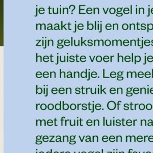 Struik op Welkoop