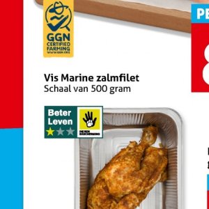 Vis op Hoogvliet