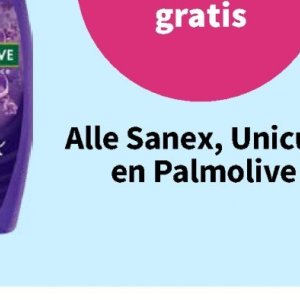  op Plein.nl