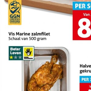Zalm op Hoogvliet