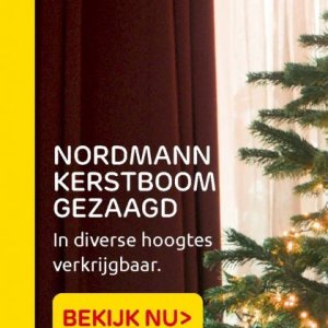 Kerstboom