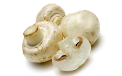 Champignons