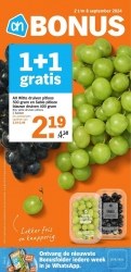 Folder Albert Heijn