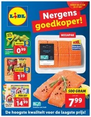 Folder Lidl Hoorn