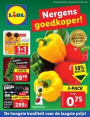 Folder Lidl Zeewolde