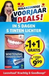 Folder Lucovitaal 
