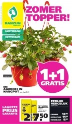 Ranzijn