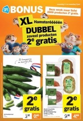 Folder Albert Heijn Drachten