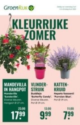 Folder GroenRijk De Westereen