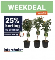 Folder InterChalet Lieren