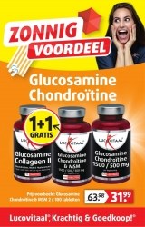 Folder Lucovitaal 