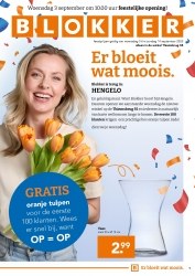 Folder Blokker Maassluis