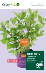Folder GroenRijk Dronten