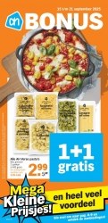 Folder Albert Heijn Bodegraven