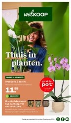 Folder Welkoop Burgum
