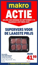 Folder Makro Delft