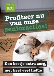 Folder Dierspecialist 