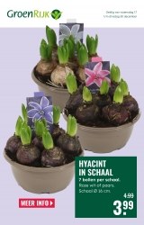 Folder GroenRijk Dordrecht