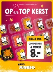 Folder Jumbo Dedemsvaart