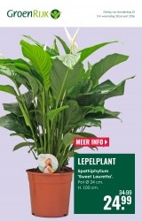 Folder GroenRijk Veenendaal