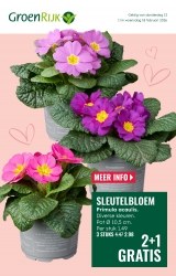 Folder GroenRijk Appingedam