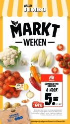 Folder Jumbo Renesse